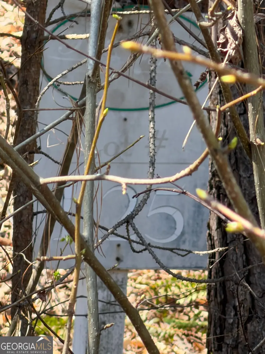 506 Forest Pointe Drive, Forsyth, GA 31029 - #3