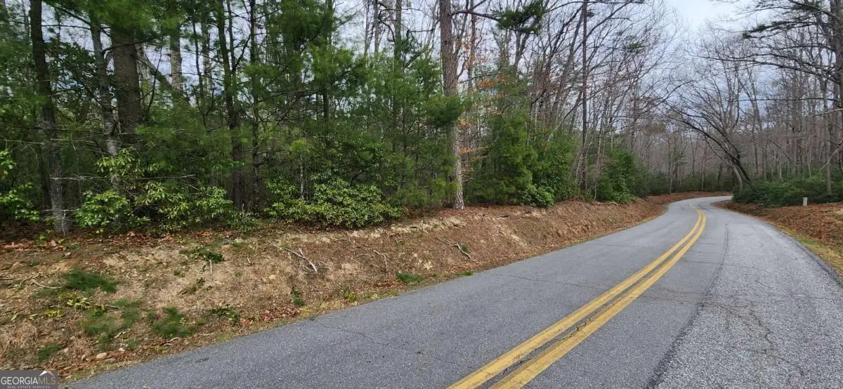 9.95AC Hicks Gap Road, Blairsville, GA 30512 - #1