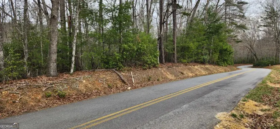 9.95AC Hicks Gap Road, Blairsville, GA 30512 - #2