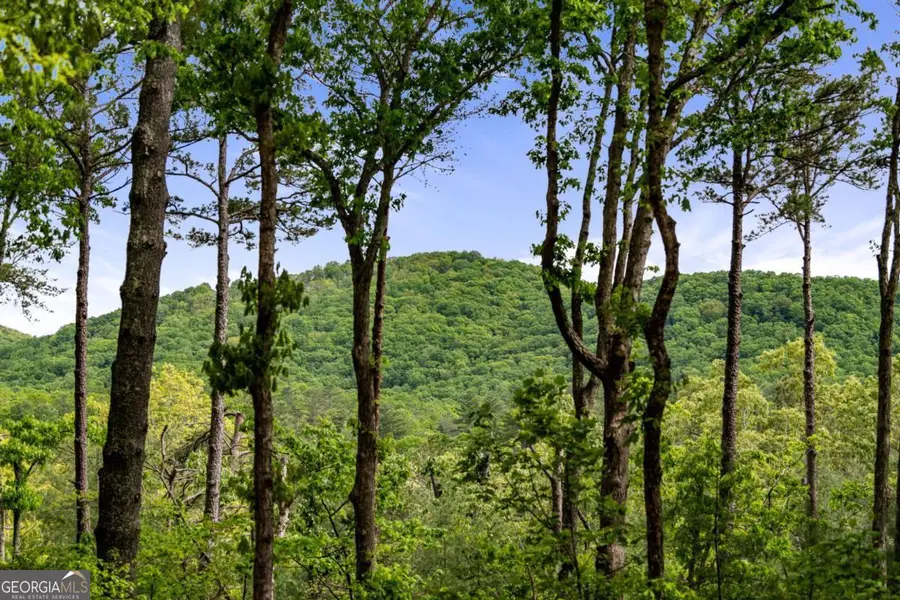 245 Old Anderson Creek, Ellijay, GA 30536 - #2