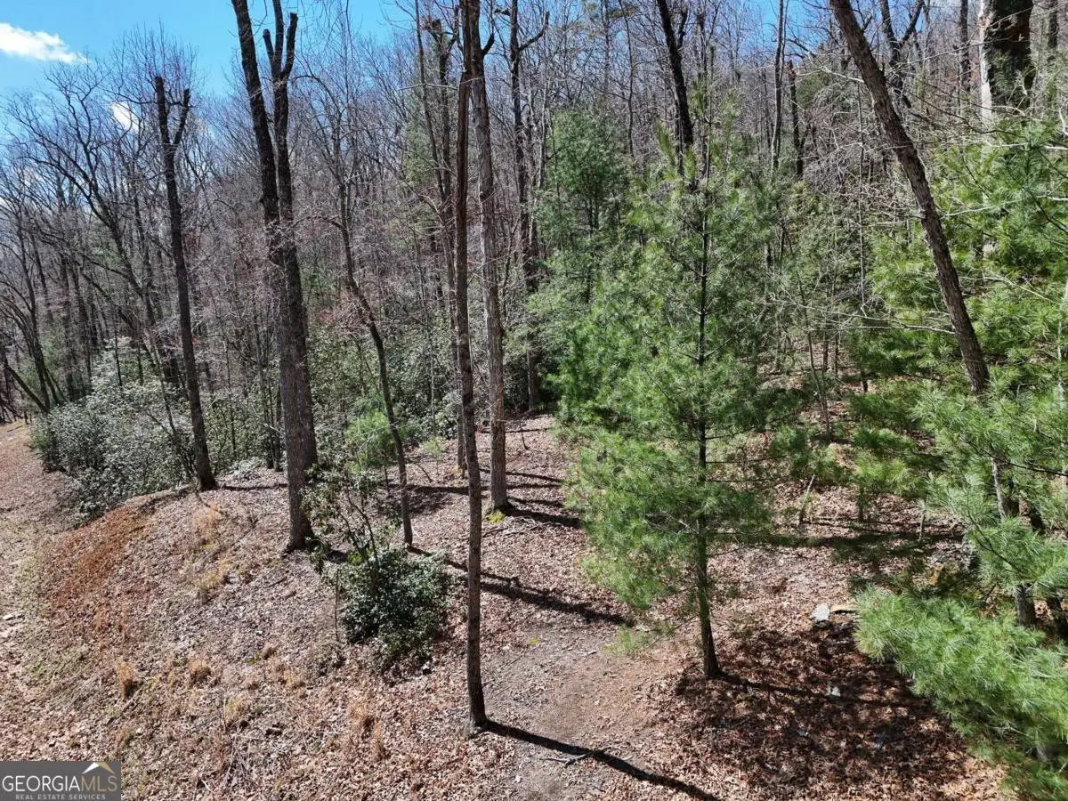 LOT 15 Native Trail, Blue Ridge, GA 30513 - #1