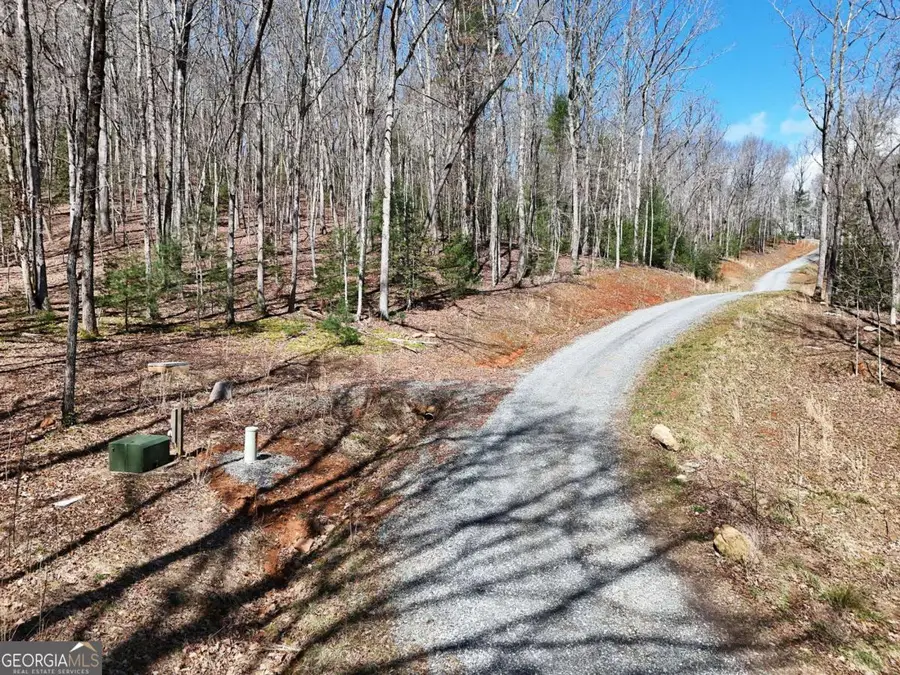 LOT 15 Native Trail, Blue Ridge, GA 30513 - #3