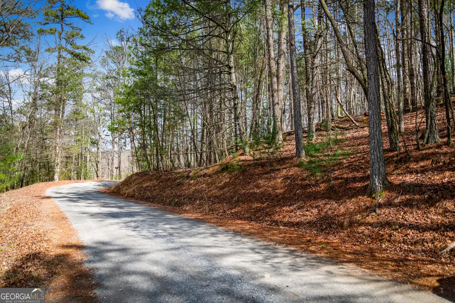 LOT 2326 Faraday Drive, Ellijay, GA 30540 - #3