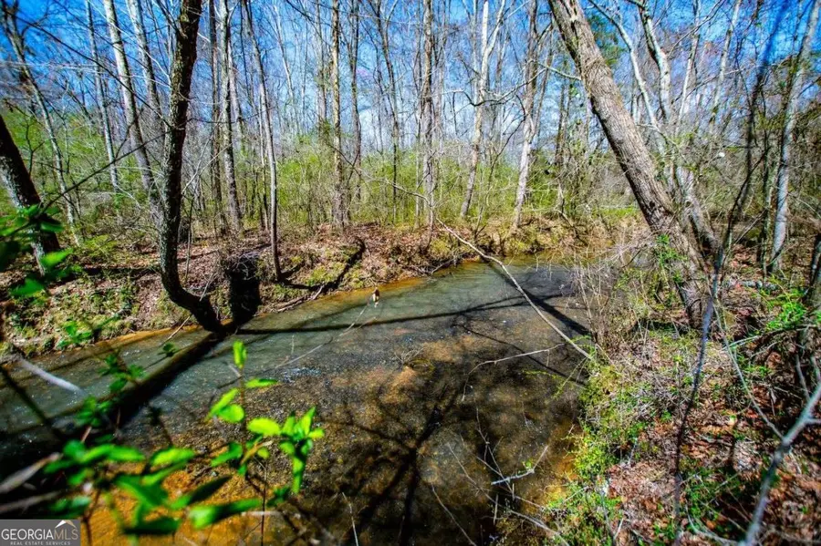 353 South Prospect Avenue, Waco, GA 30182 - #2