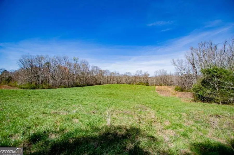 353 South Prospect Avenue, Waco, GA 30182 - #3