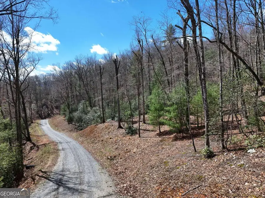 LOT 9 Native Trail, Blue Ridge, GA 30513 - #3