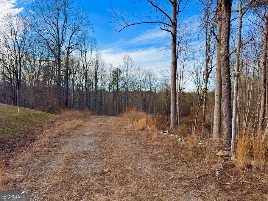 #9 Bethany Road, Jasper, GA 30143 - #2