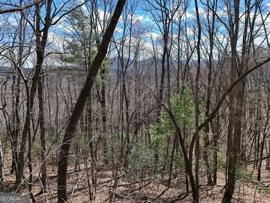LOT 12 Native Trail, Blue Ridge, GA 30513 - #2