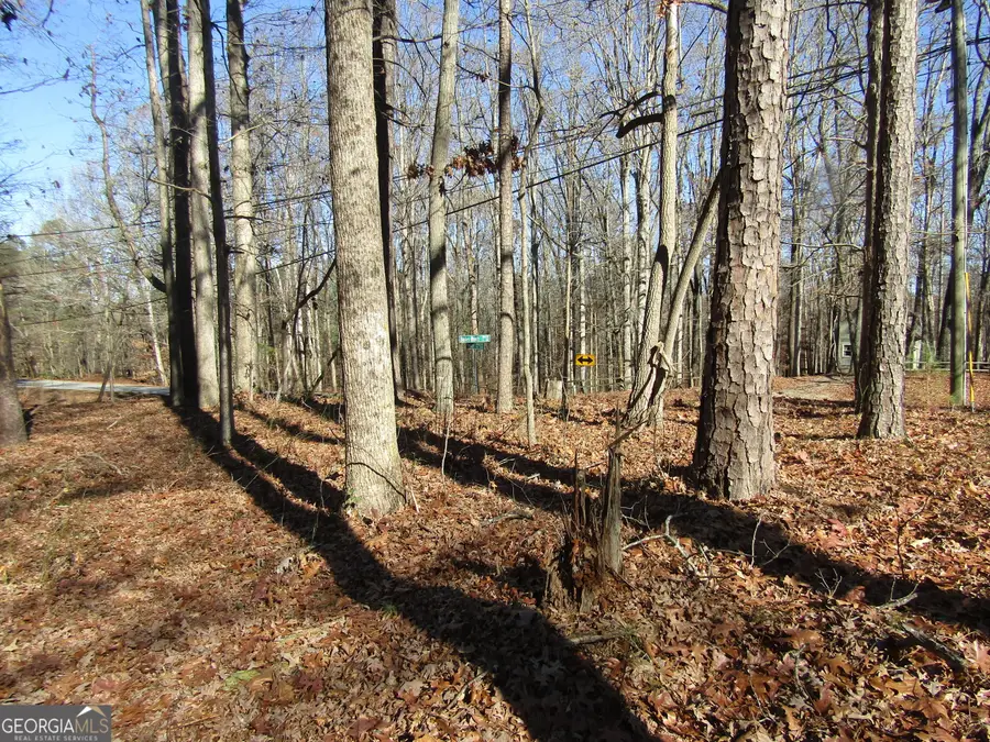 0 Fence Road, Dacula, GA 30019 - #2