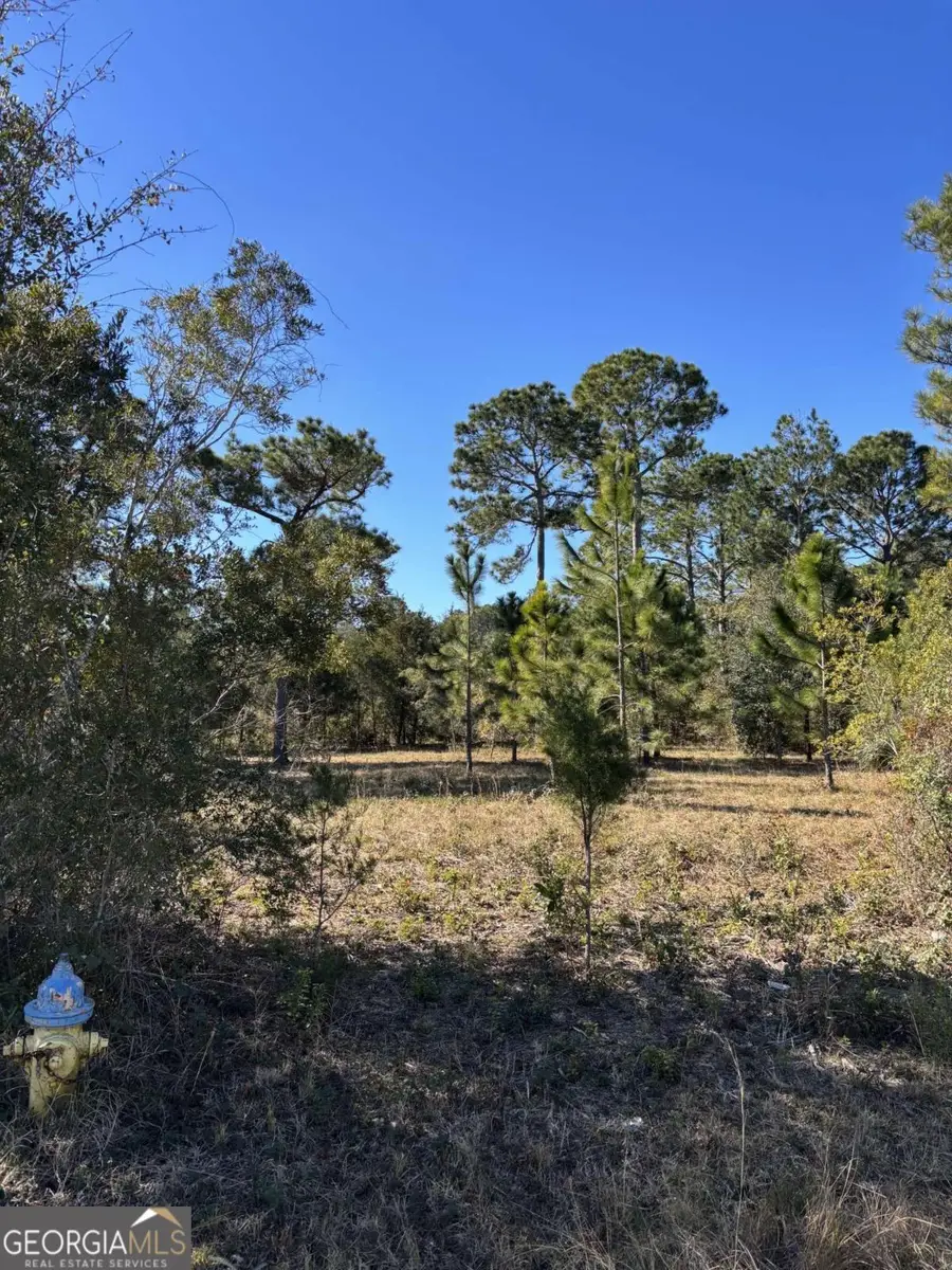 128 Dufour Road, Saint Marys, GA 31525 - #2