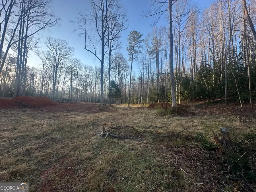 0 Dooley Road, Clarkesville, GA 30523 - #2
