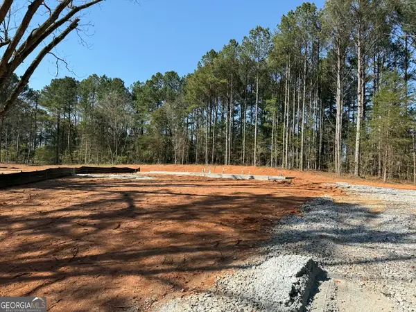 383 Laney Road, McDonough, GA 30252