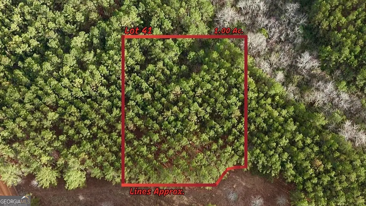 0 County Road 78, Milan, GA 31060 - #1