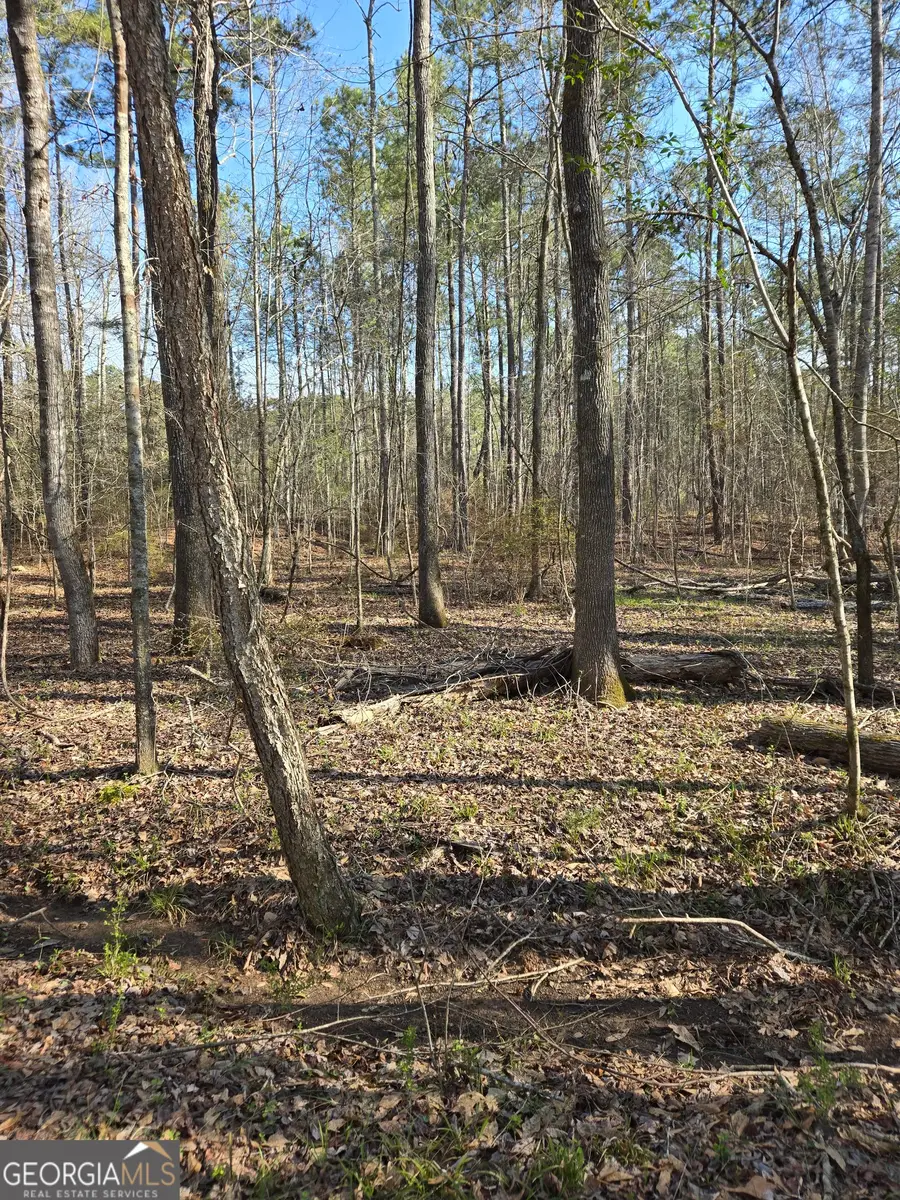 1381 Trestle Road, Locust Grove, GA 30248 - #2