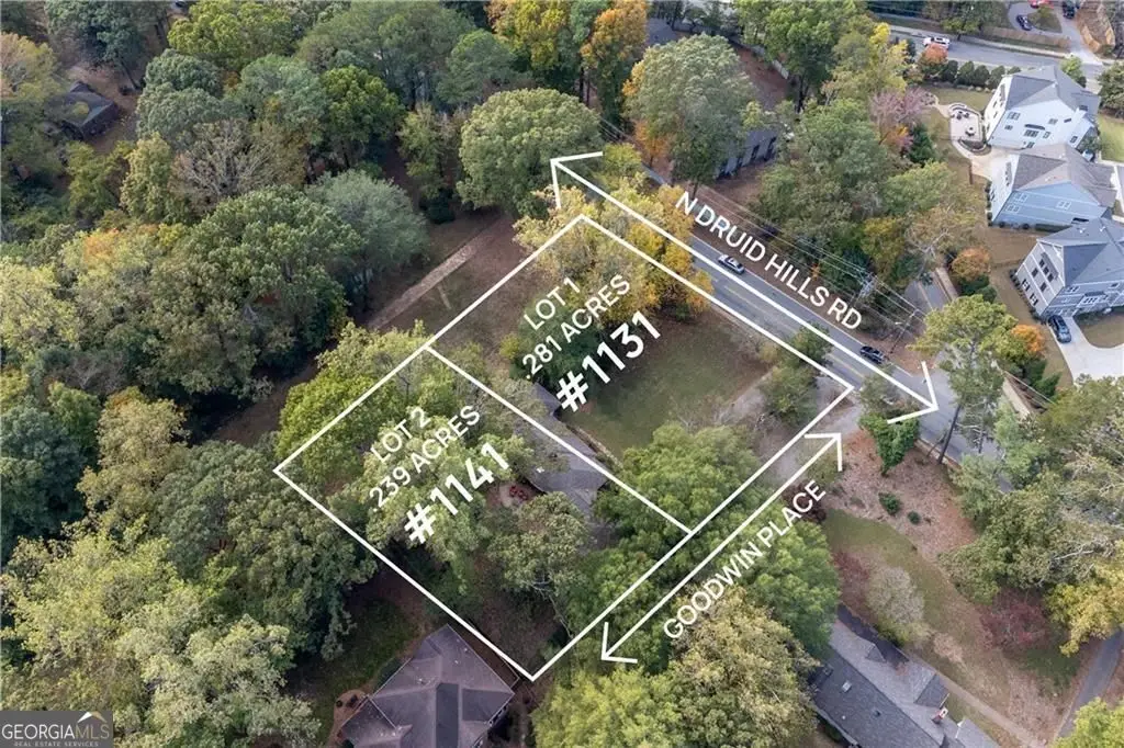 1141 Goodwin Place Ne, Brookhaven, GA 30319 - #1