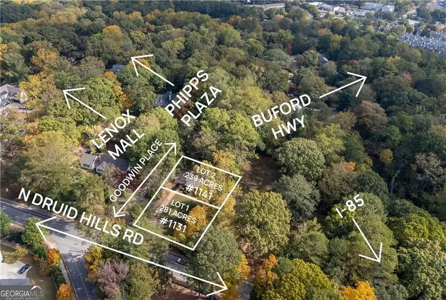 1131 Goodwin Place Ne, Brookhaven, GA 30319 - #2