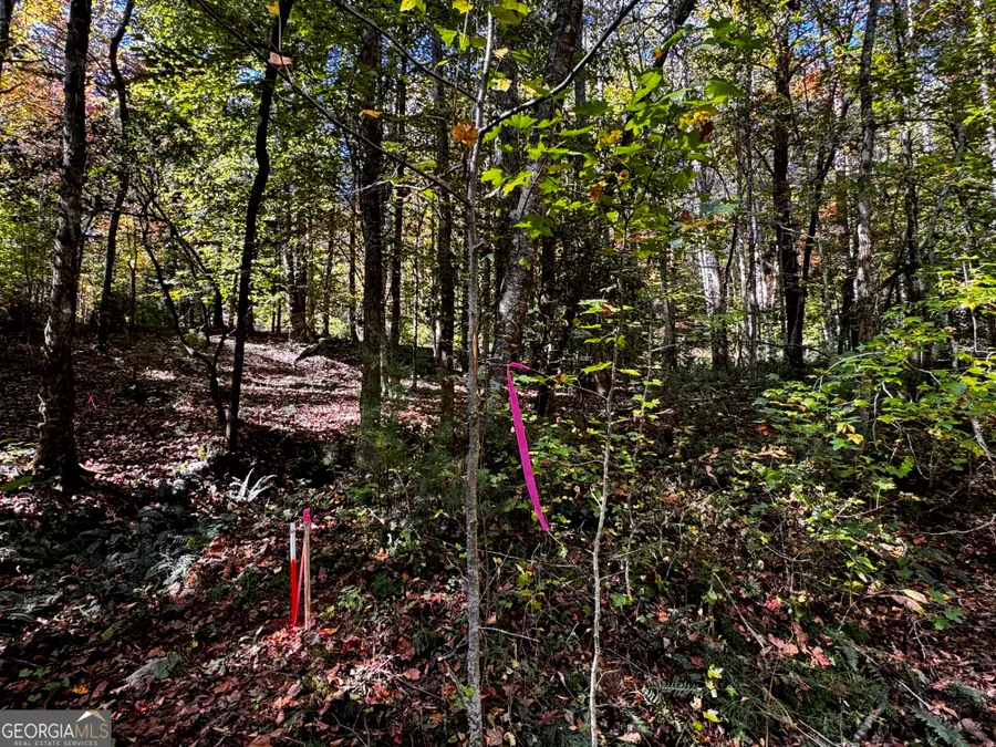 6X Laurelwood, Sautee Nacoochee, GA 30571 - #3