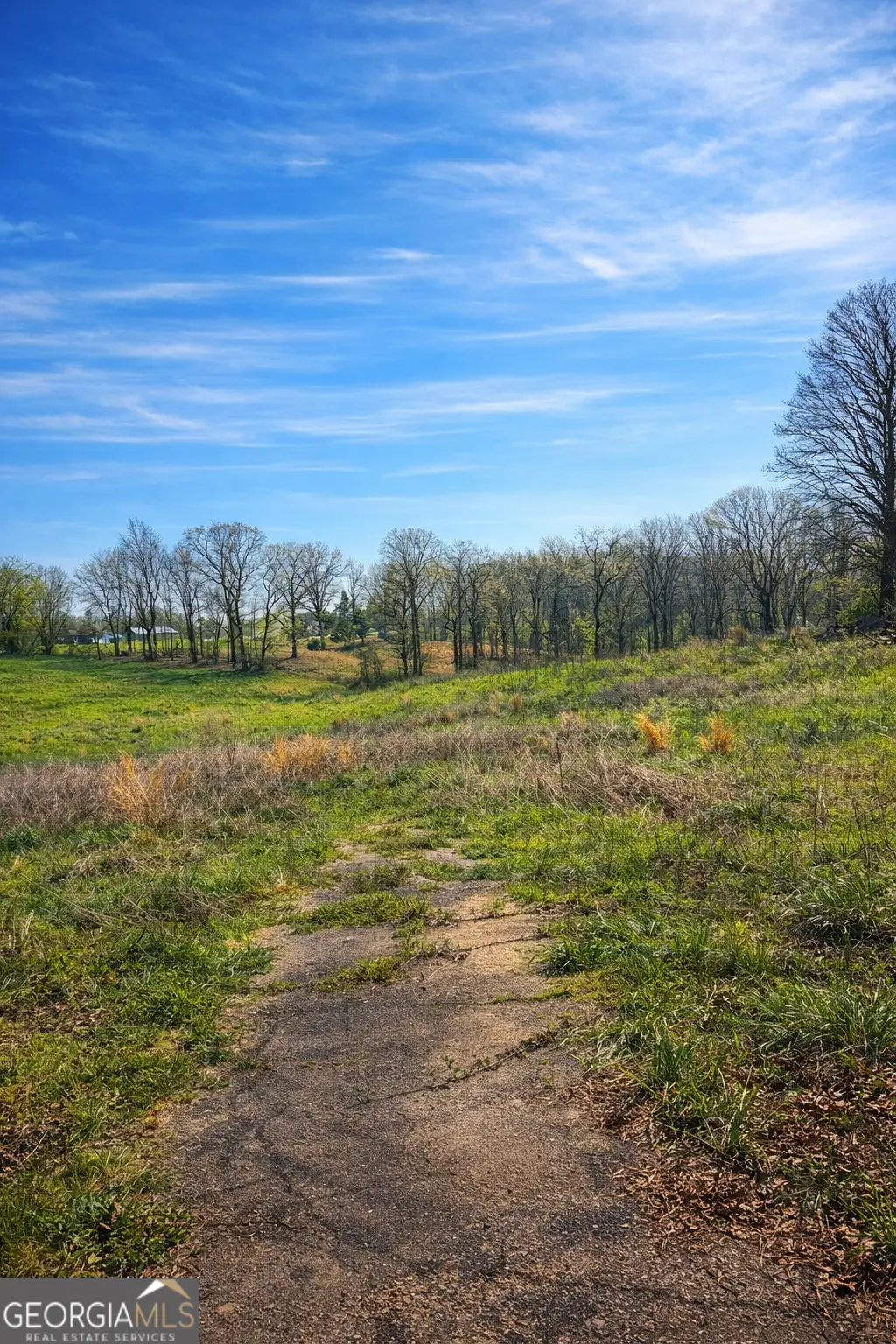 1019 Eli Knob, Dahlonega, GA 30533 - #1