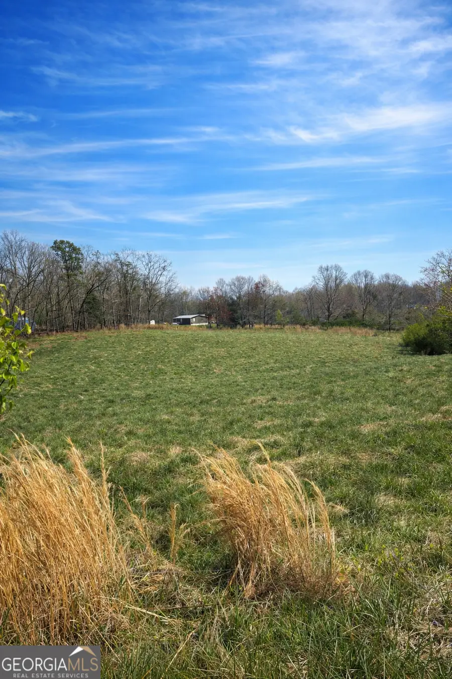 1019 Eli Knob, Dahlonega, GA 30533 - #2