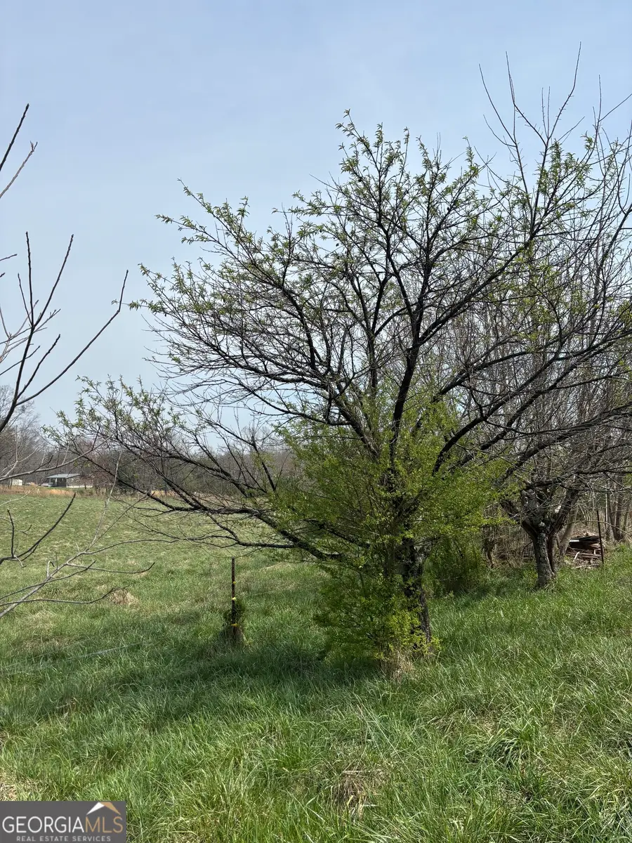 1019 Eli Knob, Dahlonega, GA 30533 - #3