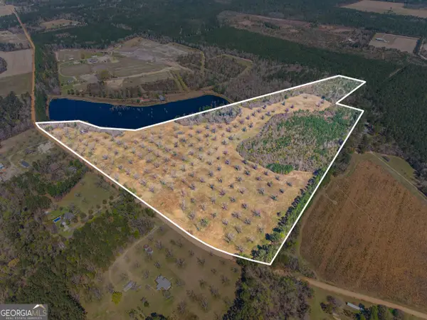 0 Cleary Road, Brooklet, GA 30415