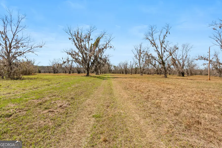 0 Cleary Road, Brooklet, GA 30415 - #2