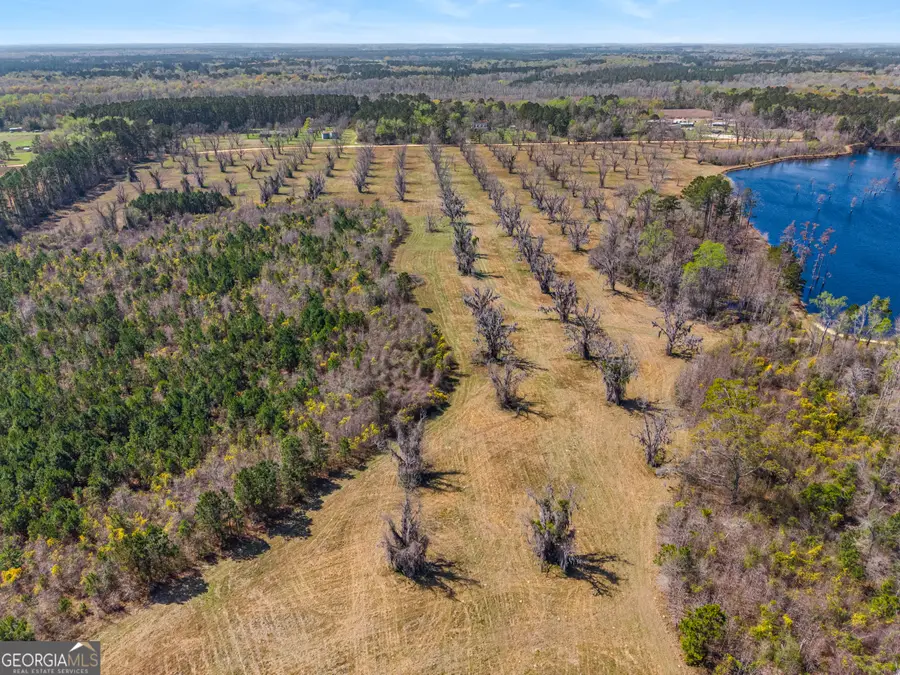 0 Cleary Road, Brooklet, GA 30415 - #3