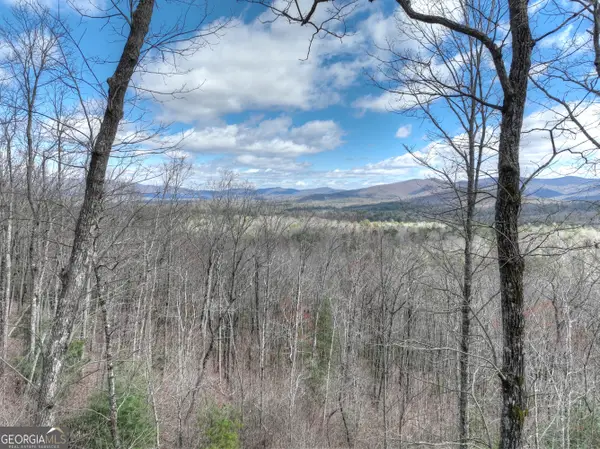 LT 14R Tanager Trail, Ellijay, GA 30536