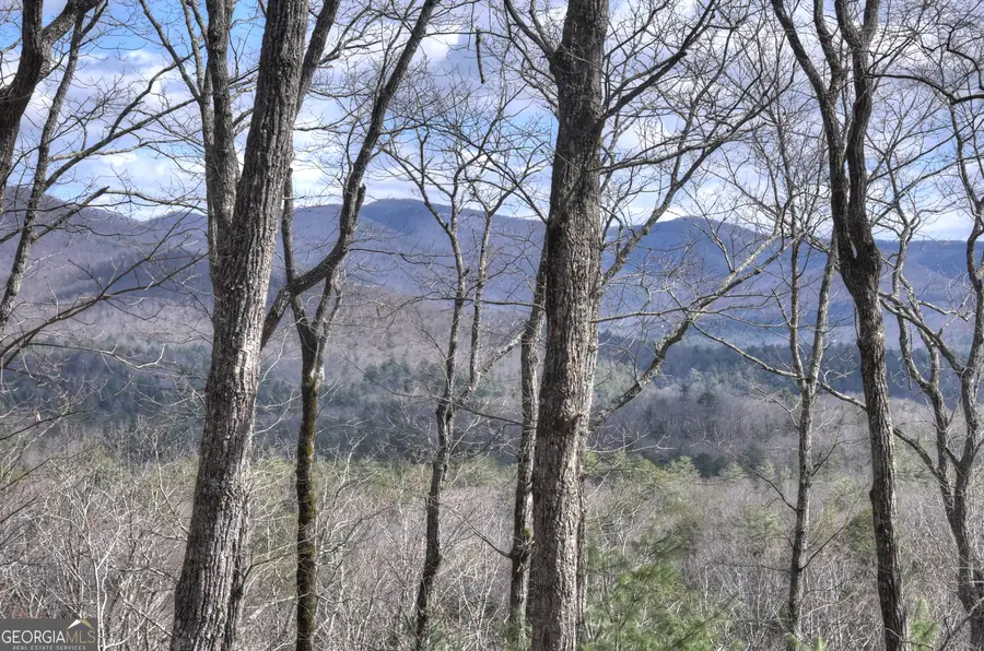 LT 14R Tanager Trail, Ellijay, GA 30536 - #2