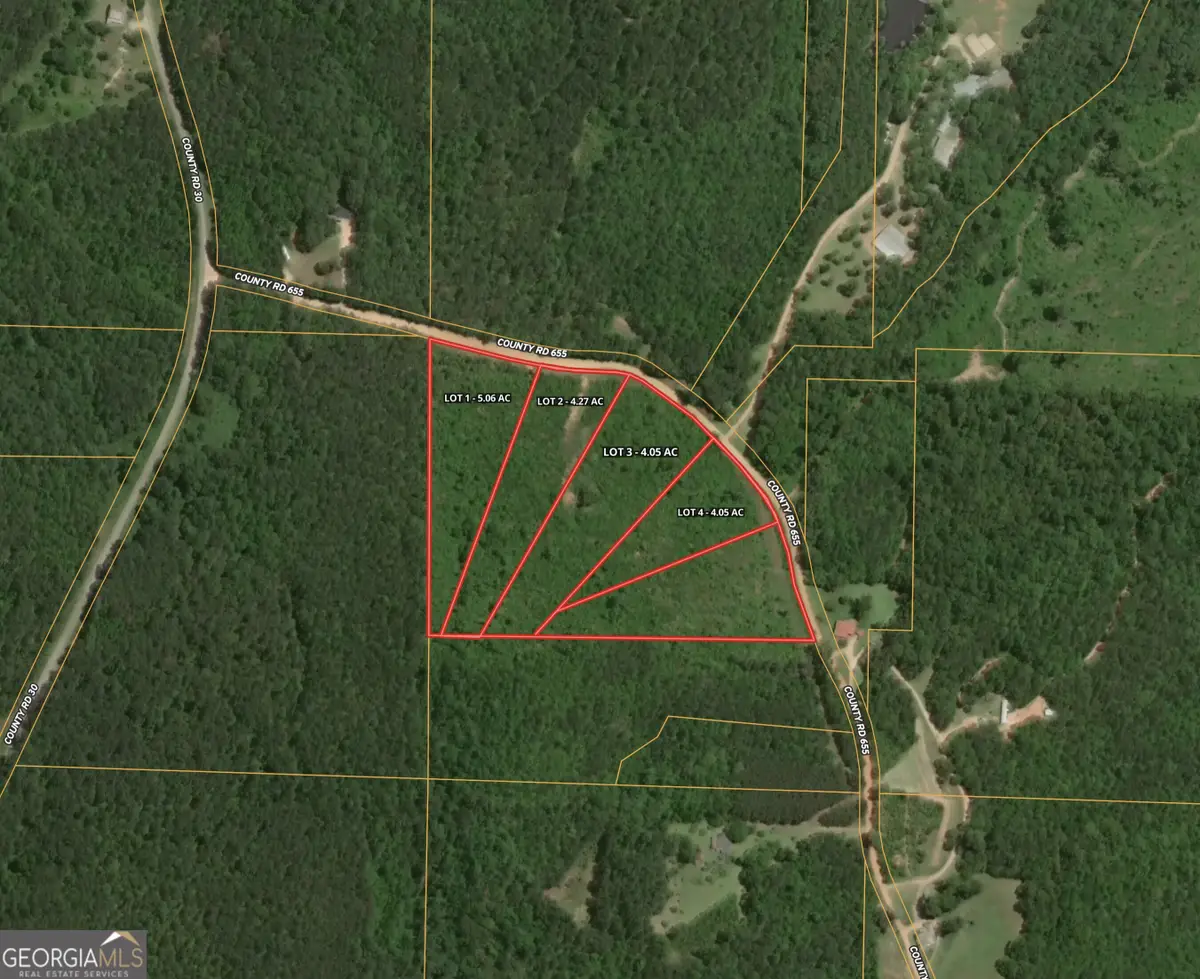 0 W County Road 655 #LOT 4, Roanoke, AL 36274 - #1