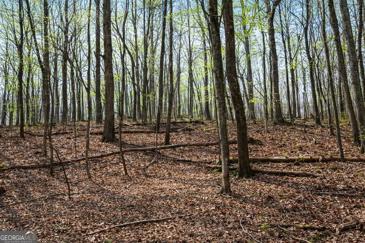 2315 Stonepile Road #LOT 4, Clarkesville, GA 30523 - #1