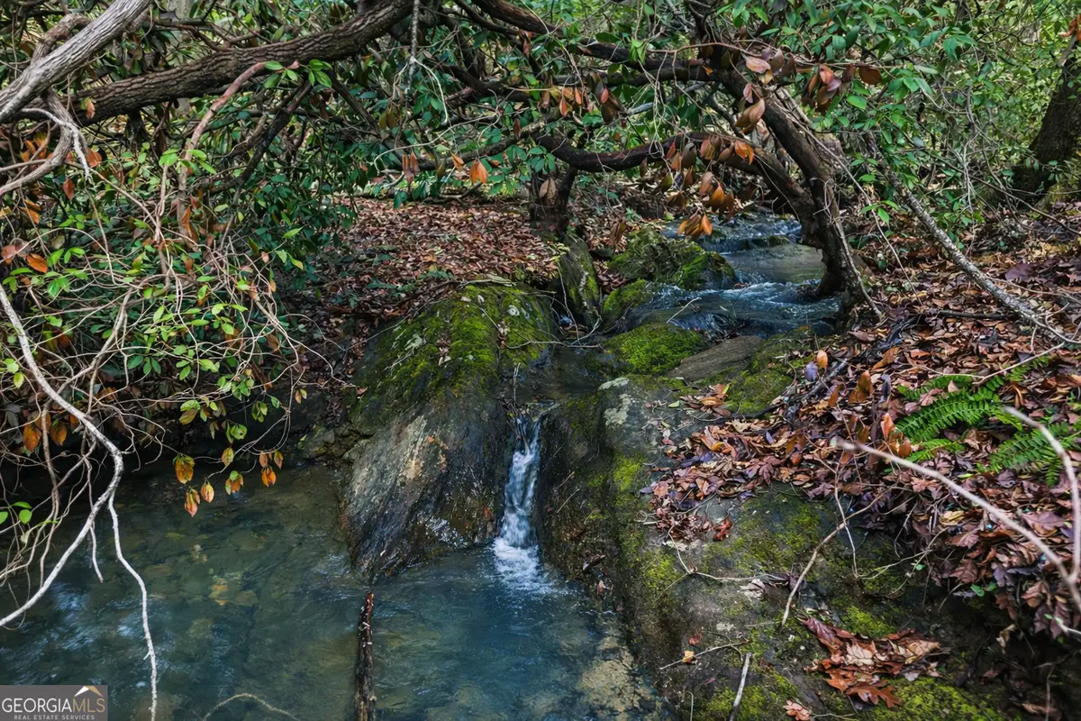 2300 Stonepile Road, Clarkesville, GA 30523 - #1