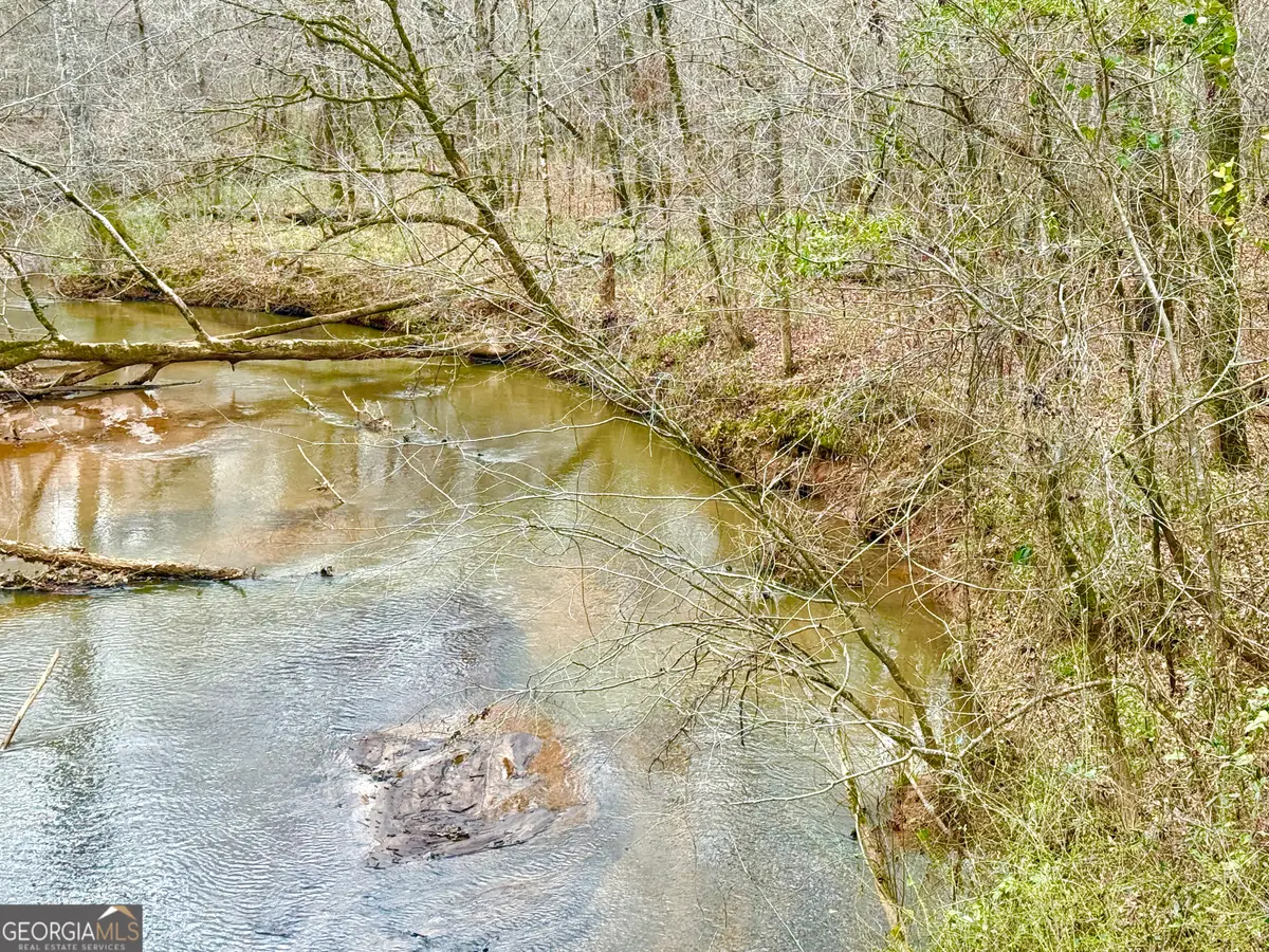 49 ACRES Jordon Road, Waverly Hall, GA 31831 - #1