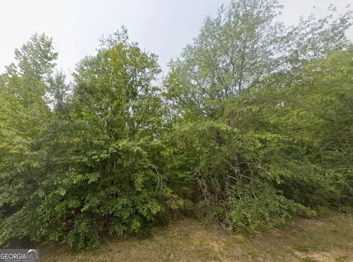 TBD E Old Wire Road #18, Butler, GA 31006 - #1