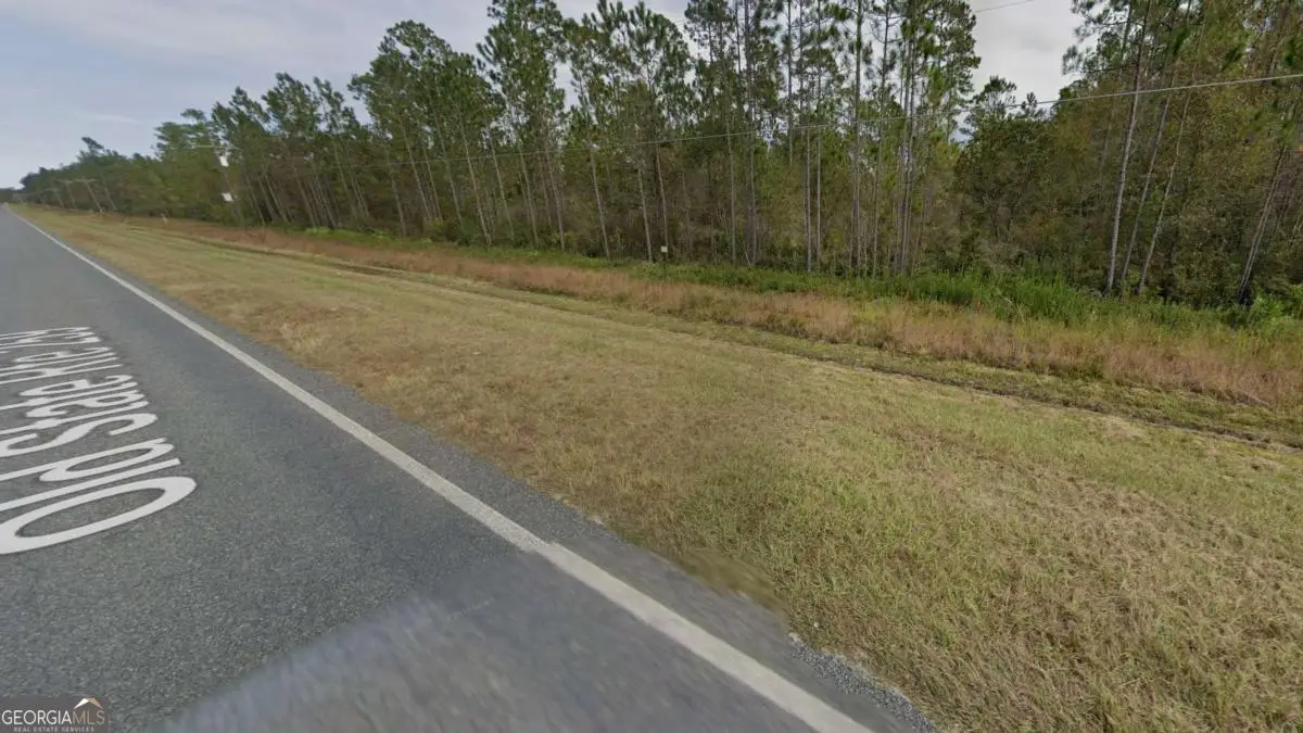 LOT27 Old State Rt 259, Waynesville, GA 31566 - #1