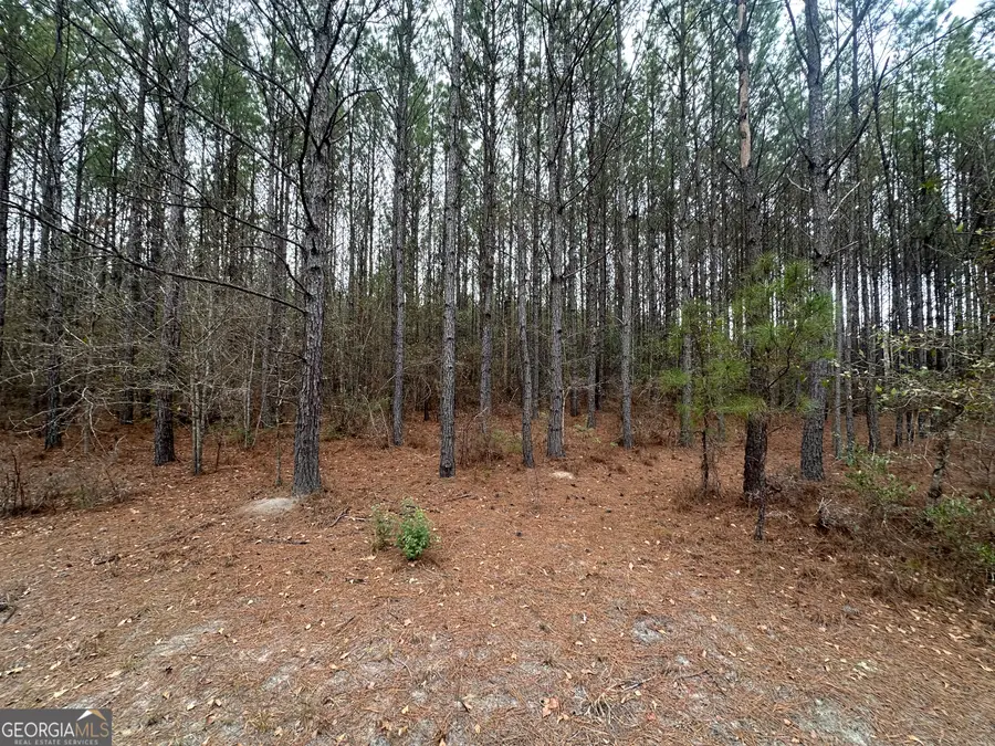 160 Landing Road, Sylvania, GA 30467 - #3