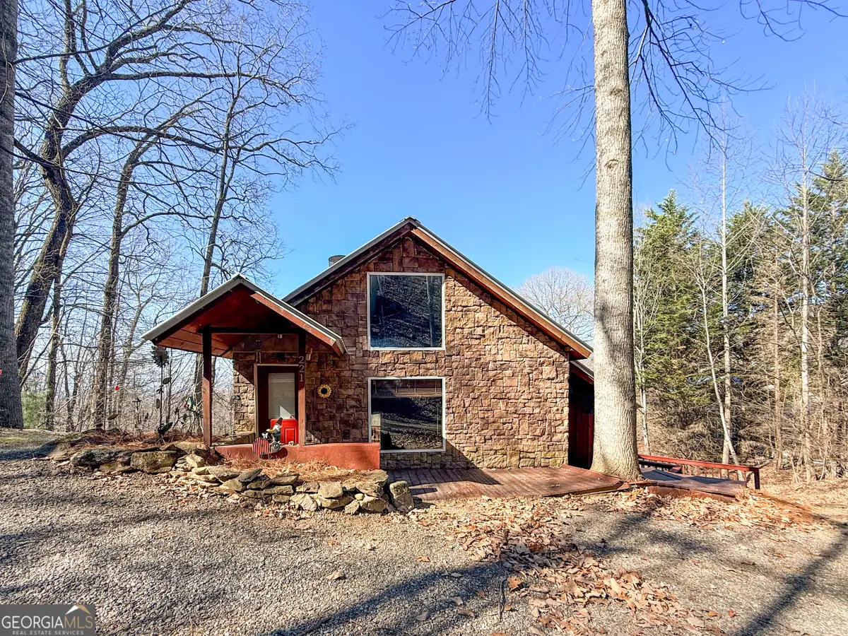 221 Wilson Lane, Blairsville, GA 30512 - #1