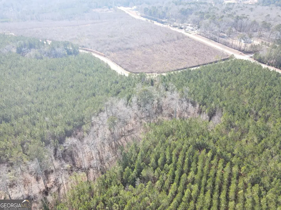 0 Rocky Creek Road, Hampton, GA 30228 - #2