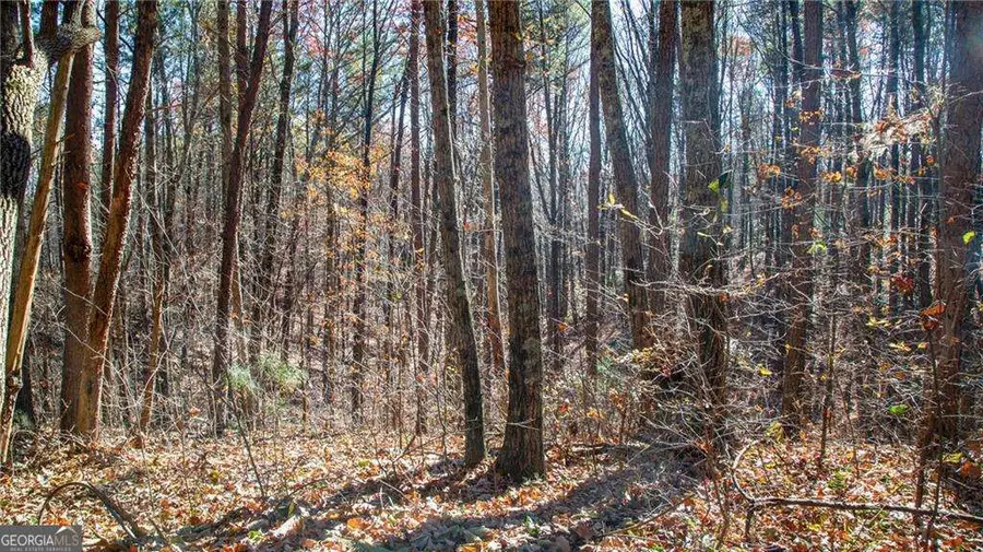 LOT 26 Waldrip Road, Dawsonville, GA 30534 - #2