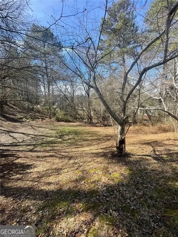 4675 Riveredge Cove, Snellville, GA 30039 - #2