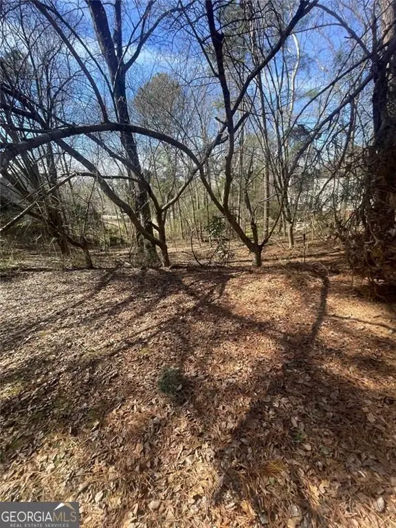 4675 Riveredge Cove, Snellville, GA 30039 - #3