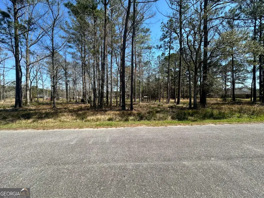 102 Trail South, Midway, GA 31320 - #3