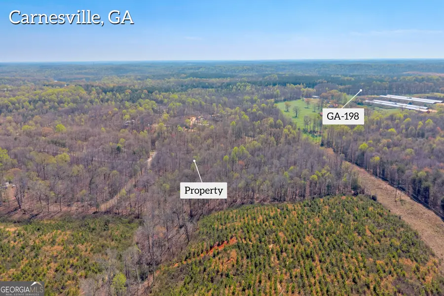 300 Rolling Rock Rd., Carnesville, GA 30521 - #3