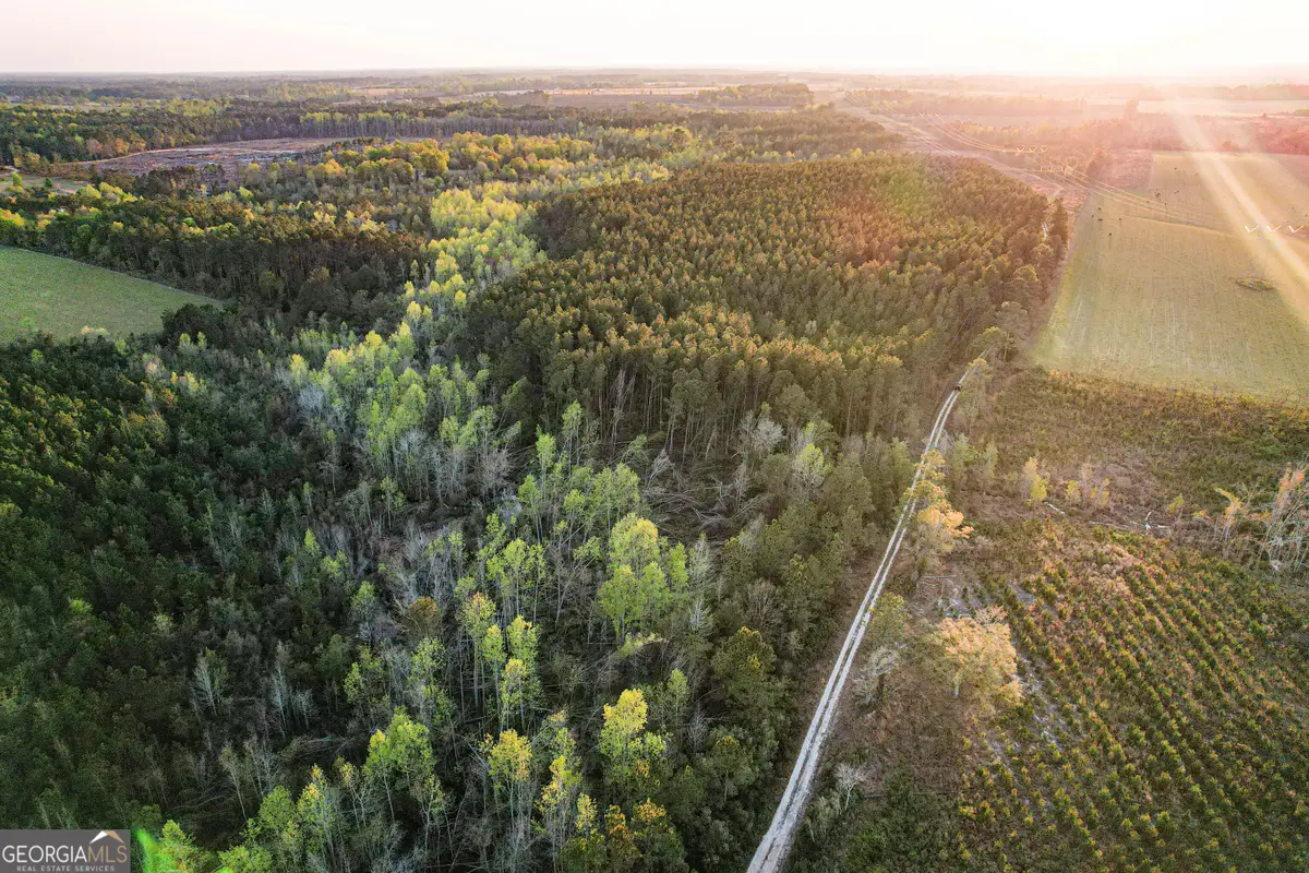 0 Dubberly Road, Baxley, GA 31513 - #1