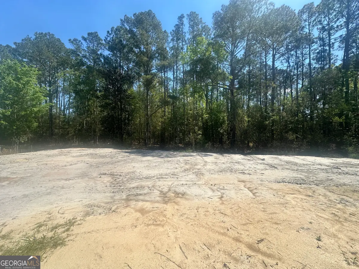 505 Pauline Avenue, Ray City, GA 31645 - #1