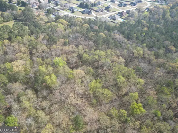 0 Hwy 247 Connector, Byron, GA 31008