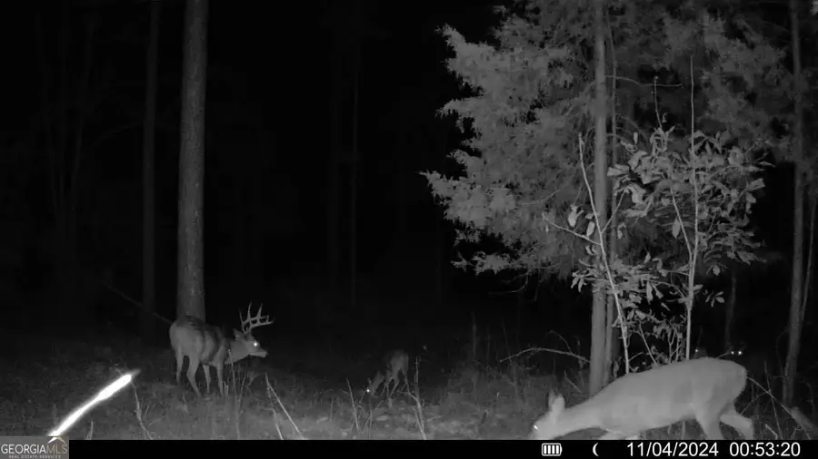 00 Martin Mill Road, Eatonton, GA 31024 - #3