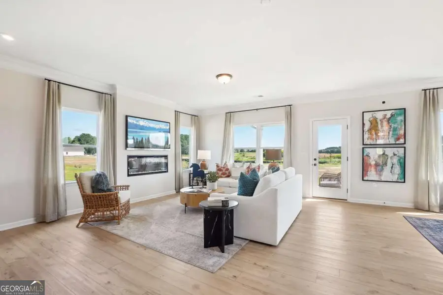 1441 Trellis Court #(LOT 7), Hampton, GA 30228 - #3