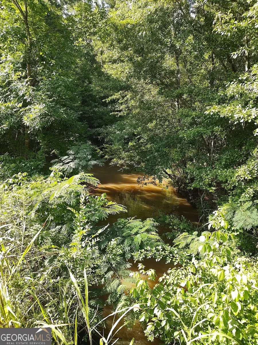 377 Hillsboro Lake Road, Hillsboro, GA 31038 - #2