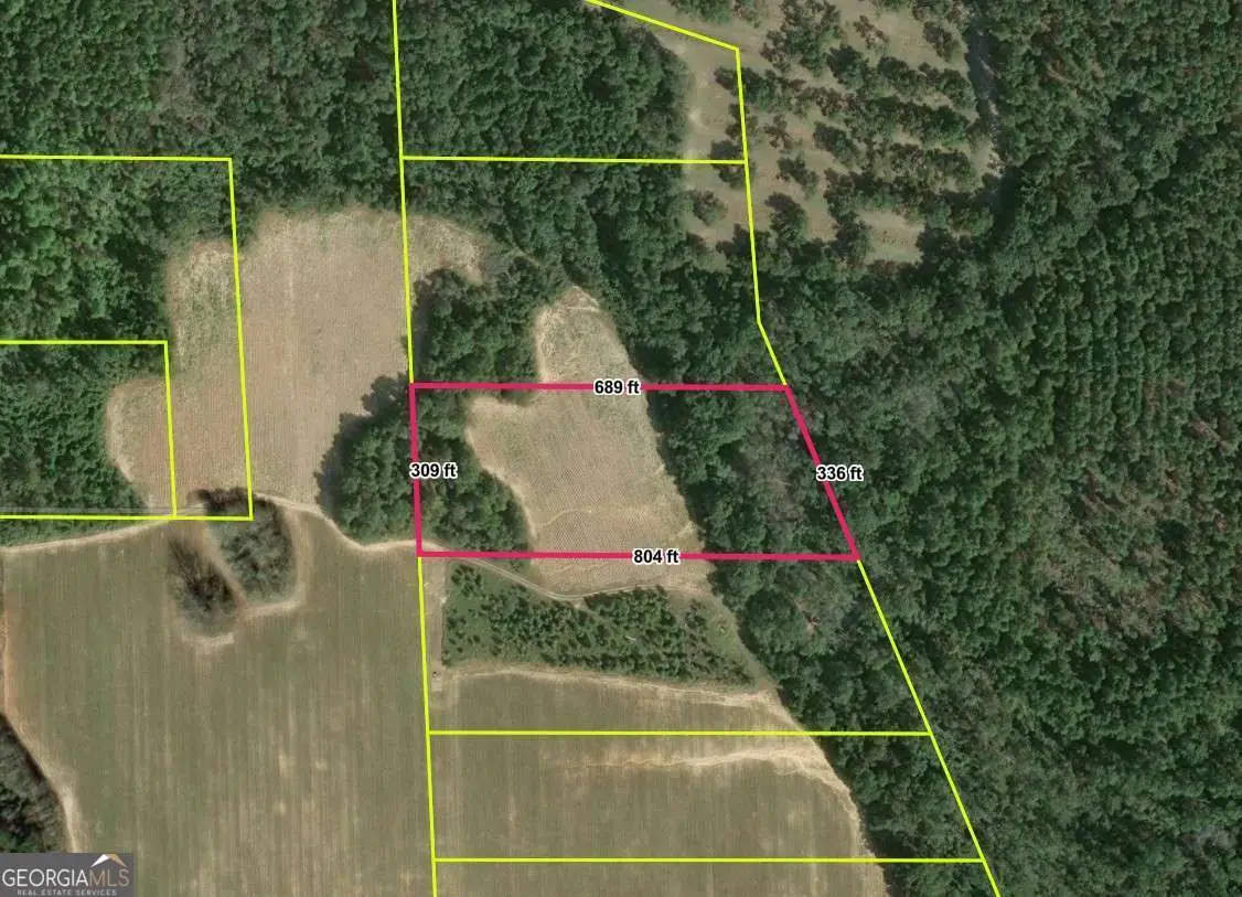 0 Webster Road, Waynesboro, GA 30830 - #1